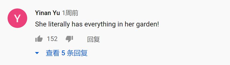 被央视点赞的李子柒算什么文化,李子柒被央视点赞