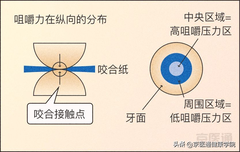 一招解决磨牙的危害,磨牙很严重最好的磨牙解决方法
