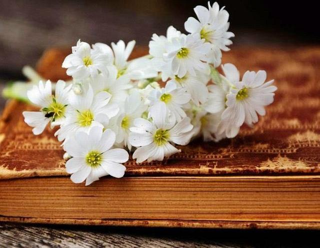 对方把微信拉黑和删除有什么区别,微信被删除和拉黑朋友圈显示什么