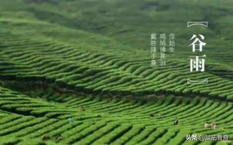 谷雨节气一般在几月几日,谷雨一候谷雨二候谷雨三候