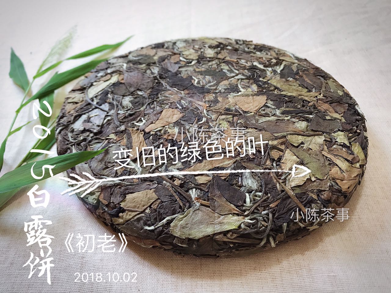 新手入门老白茶如何选,老白茶干货知识