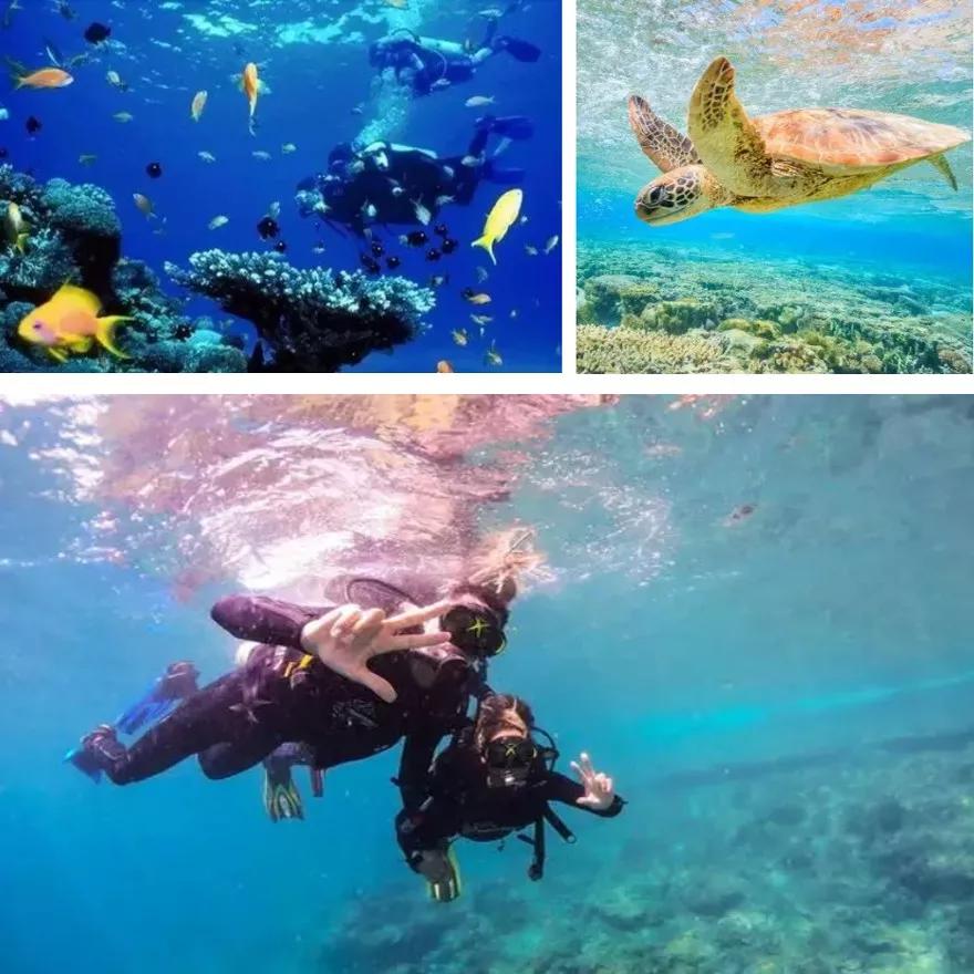 普吉岛帆船一日游推荐,普吉岛双体帆船日落游