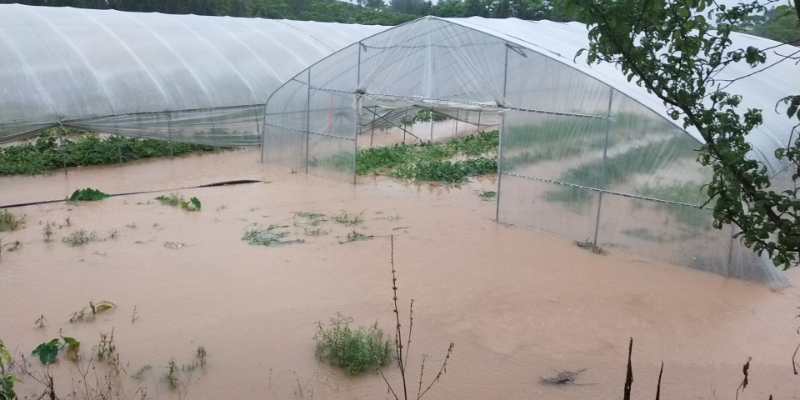 园区路面积水,园路低洼处积水如何处理