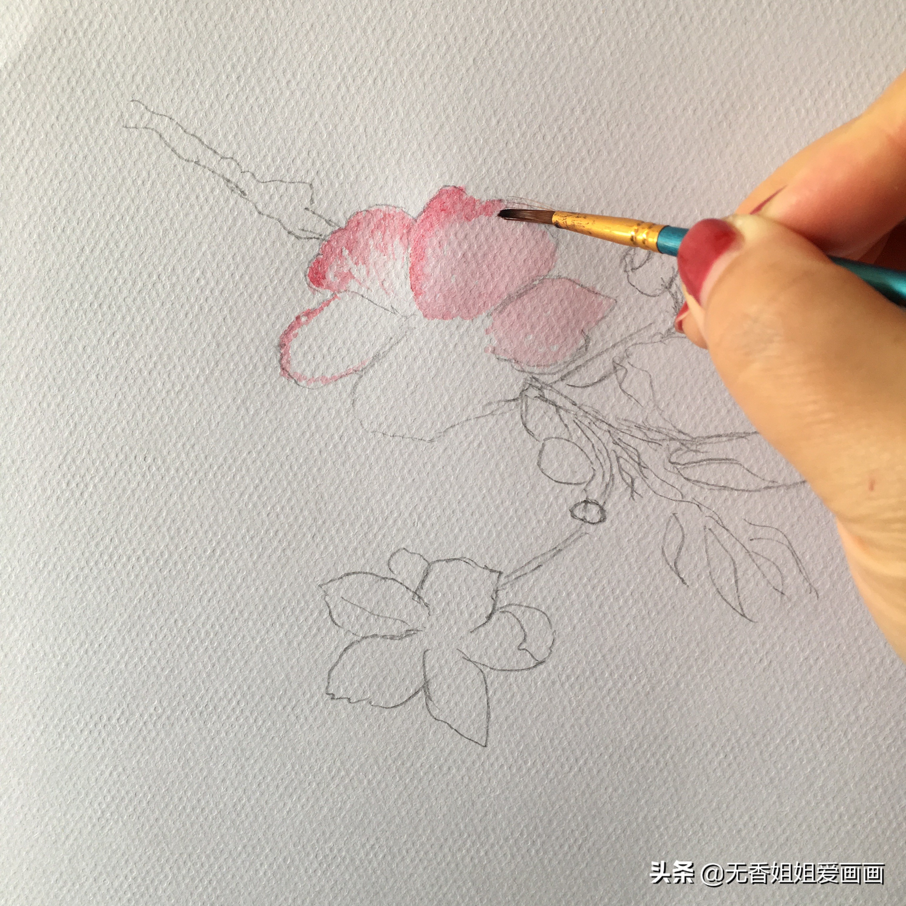 手绘桃花图片小学,马克笔手绘教程桃花