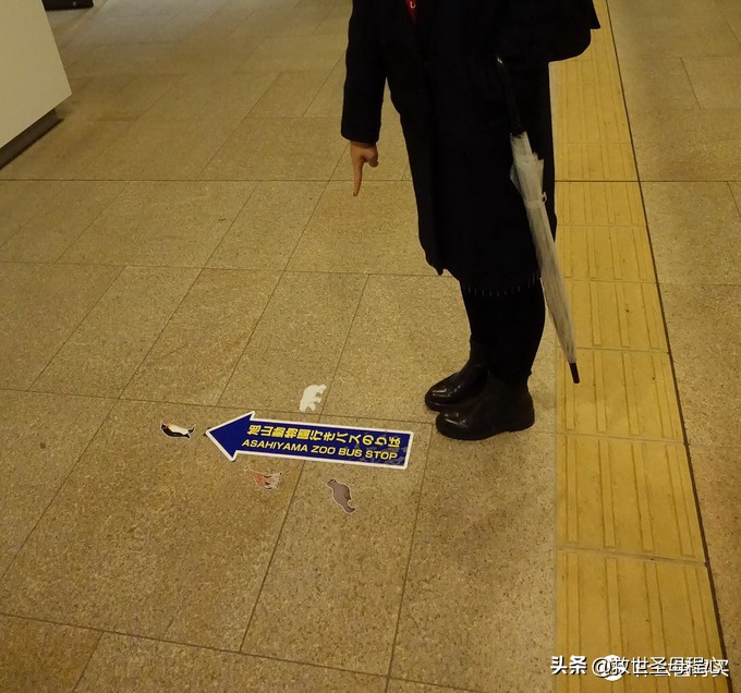 日本旅游工资流水单什么样,日本流水账式旅行