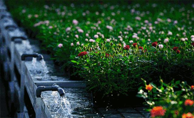 开远是哪个地方,开远市离边境多远