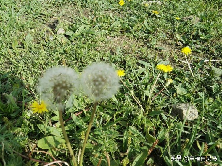 没有过不去的困难只是暂时的,心中有希望所以不再有哭泣