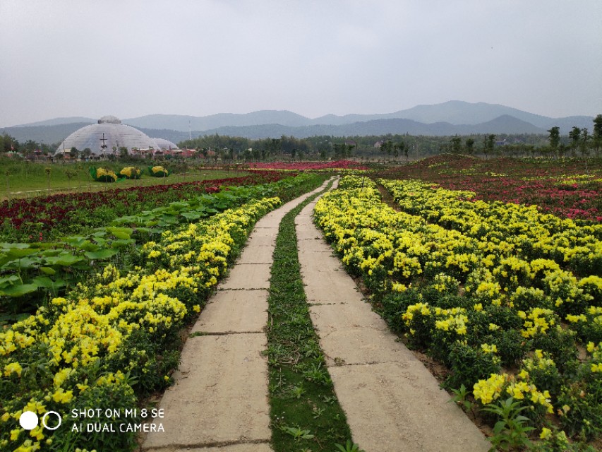 太极洞一日游最佳路线图,一日游太极洞