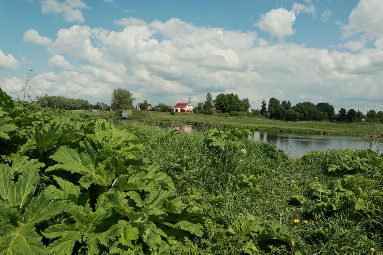 佳能新手入门相机哪款好看一点,佳能最新款入门相机推荐