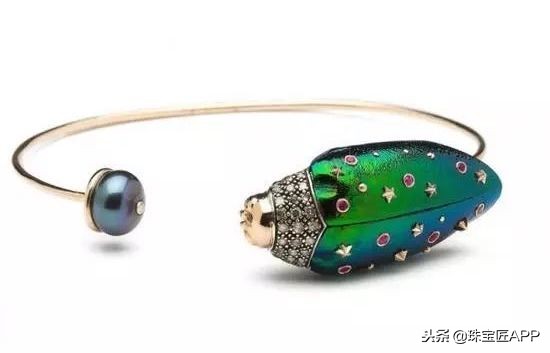 昆虫做的珠宝首饰,用昆虫做的艺术品