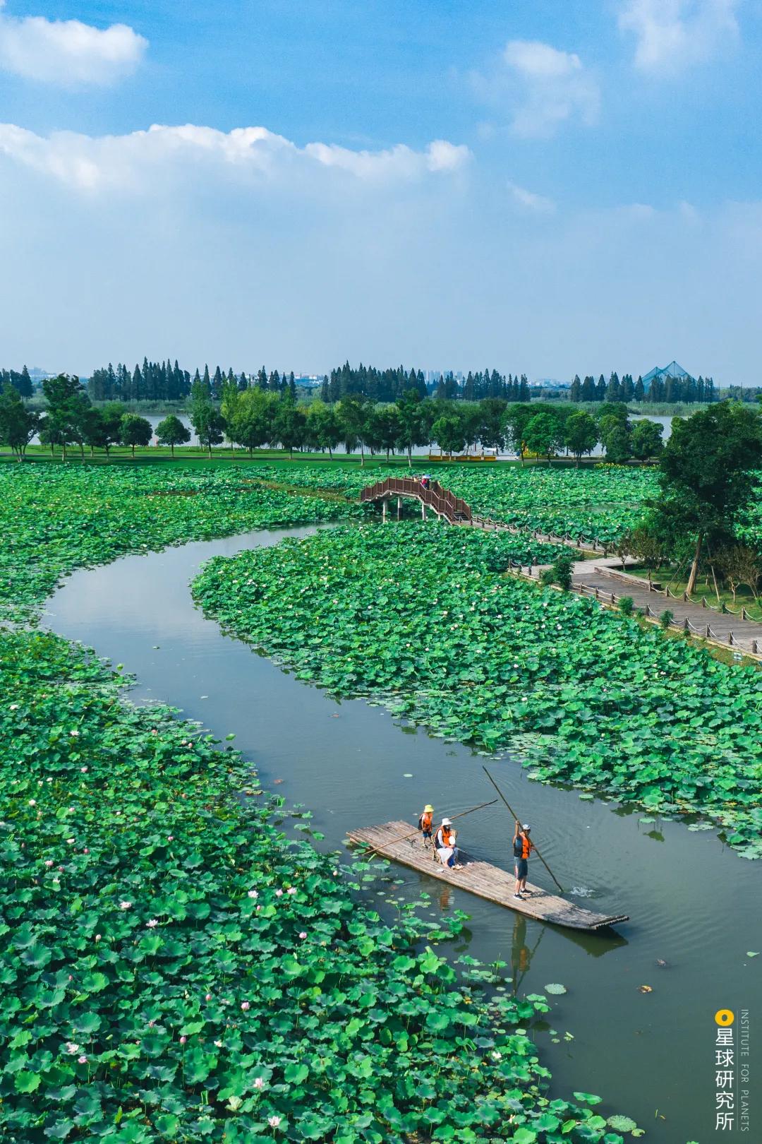 南京高淳哪个区发展最好,南京高淳值得去的风景区免费