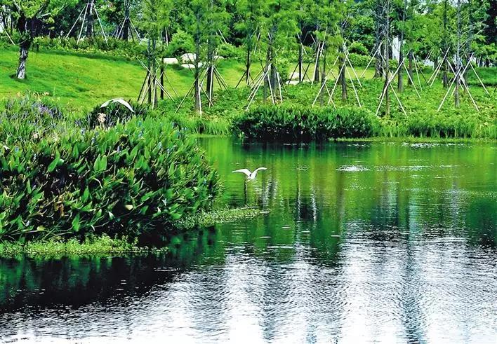 深圳遛娃必去的50个主题公园,深圳亲子游十佳去处免费