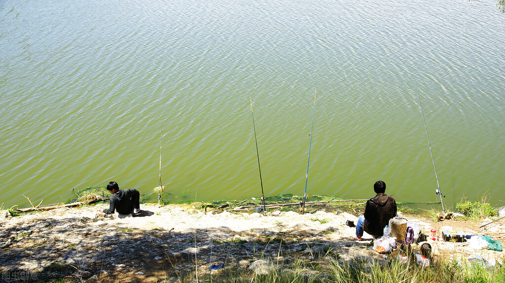 钓到大鱼正确的溜鱼法,老钓手操作视频