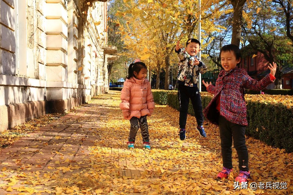 旅顺太阳沟文物保护规划,旅顺太阳沟示范区