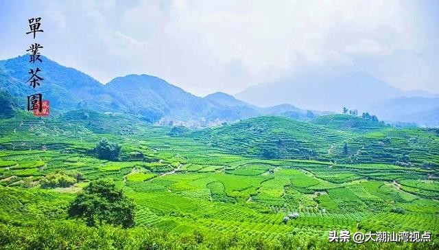 潮州凤凰天池的传奇故事,潮州凤凰天池图片大全