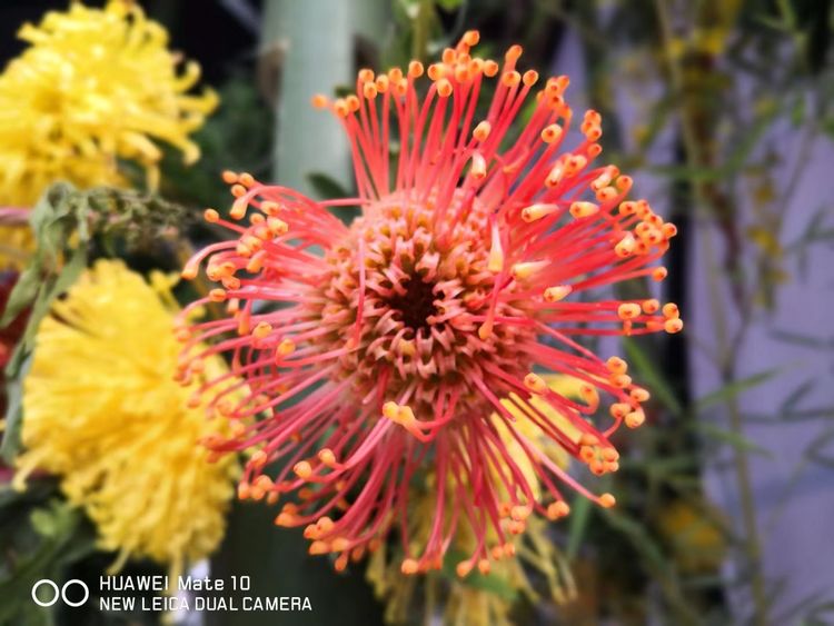 深秋的私语,美文美图经典欣赏