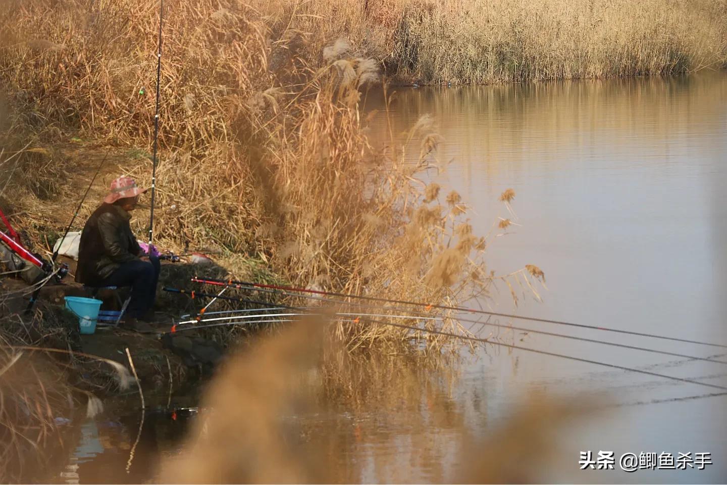 钓鱼人不知道的小技巧,钓鱼技巧野钓鱼不开口用啥饵