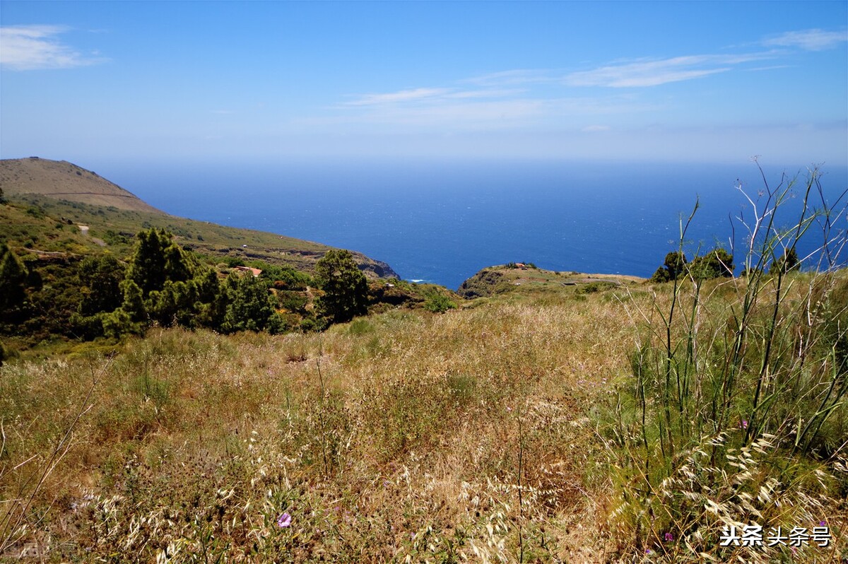 破产富家女离婚记,破产富家女离婚记小说