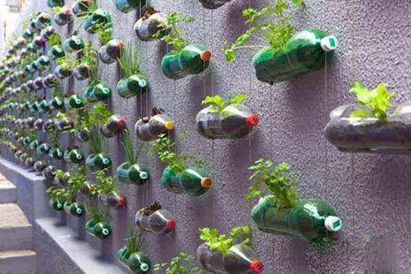 如何用塑料瓶做养花神器,今天教你如何让塑料瓶秒变盆栽