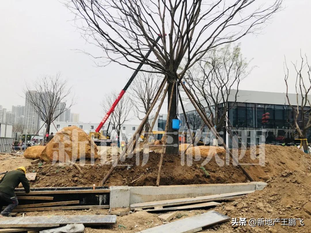 西安星河湾二号园,星河湾西安曲江二期户型