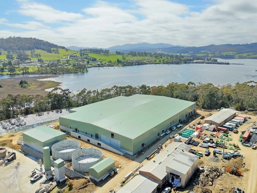 日本挪威新西兰澳大利亚,挪威向中国出口水产品