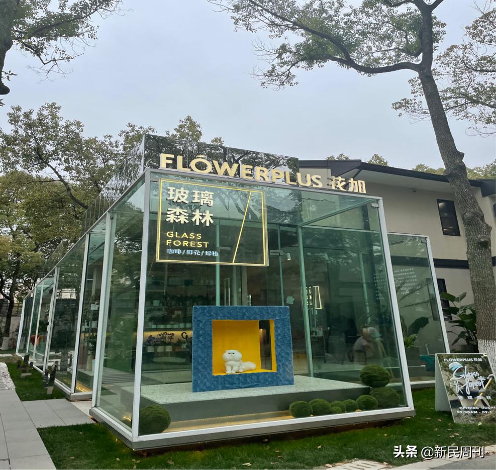 寻物四纵五横,寻物大厦门