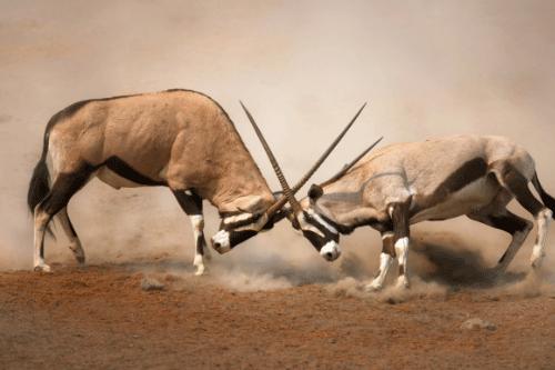 武磊中国足球出路视频,武磊的留洋之路