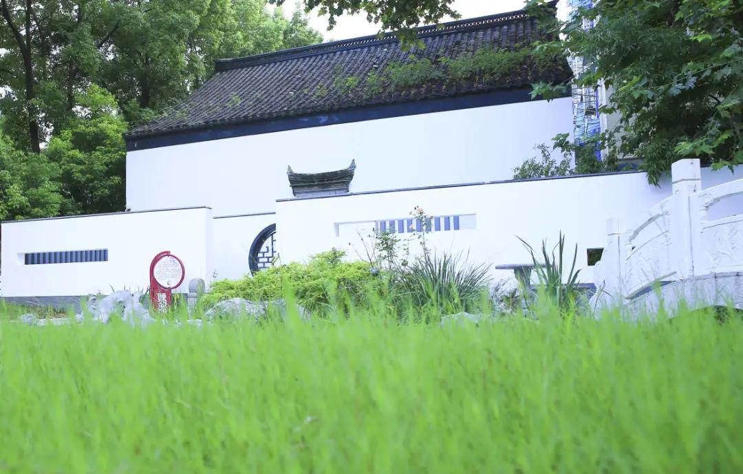 最美的风景美丽的校园,最美的风景就是校园