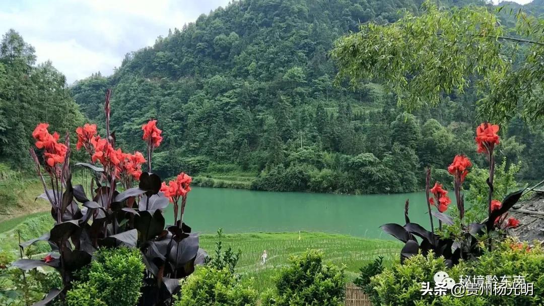 璐靛窞涓栧妗冩簮缇庢櫙,璐靛窞涓栧妗冩簮椋庢櫙