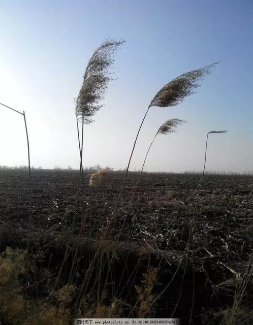 北方的冬天的风,北方的冬天生活日常