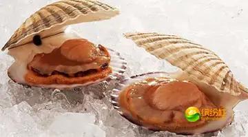 舟山海鲜攻略2天1晚住宿自由行,舟山最好的海鲜