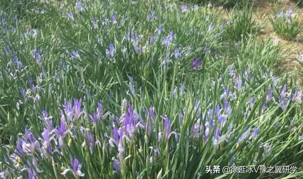 不出郑州旅游攻略,郑州五一游玩公园推荐