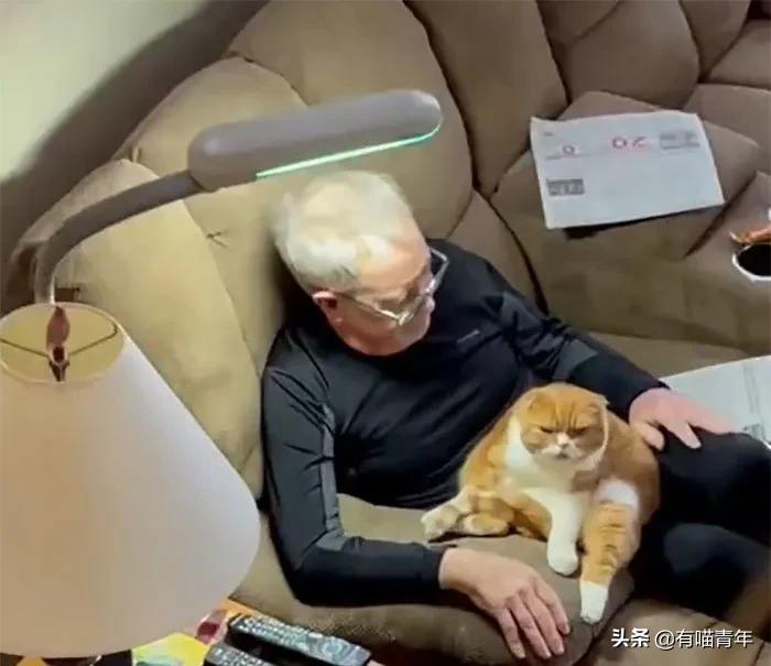 养猫也能治疗癌症?是真的