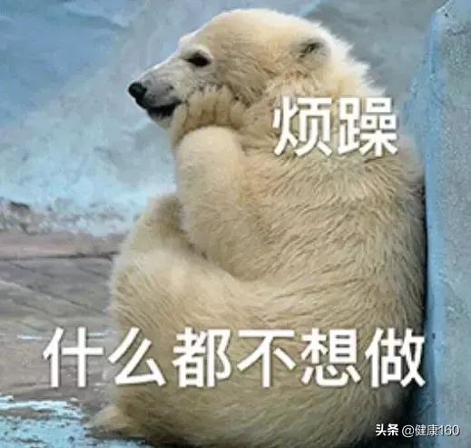 大姨妈刚结束可以献血小板吗,大姨妈经期如何调养