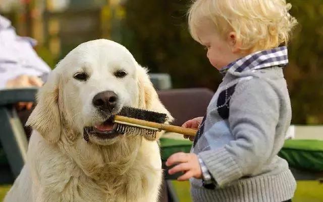 孩子害怕时跟他说什么才能不怕,当孩子说害怕时家长怎么办