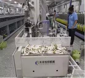 老方点评：一对年轻人的艰苦求索路