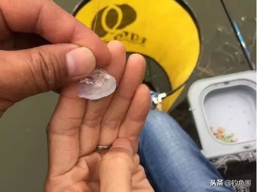 野钓老是脱钩用什么类型的鱼钩,野钓时常有鱼脱钩的原因是什么