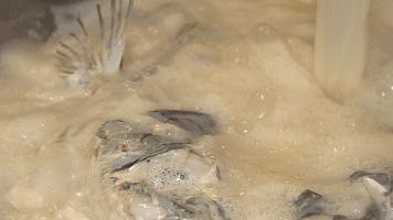 被苏州抢去风头的浙北冷门小县城，其实暗藏着一个美食江湖