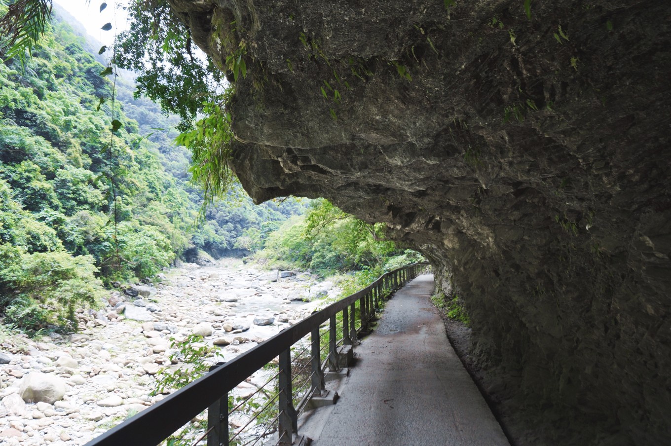 回忆台湾环岛游,回忆台湾环岛旅行