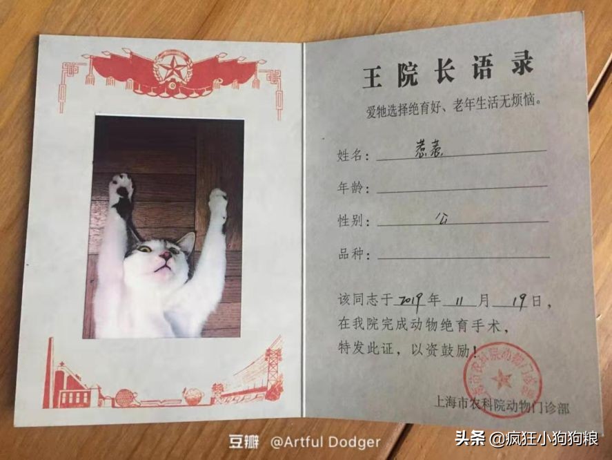 这些猫狗的照片,我也就看了10000多遍!