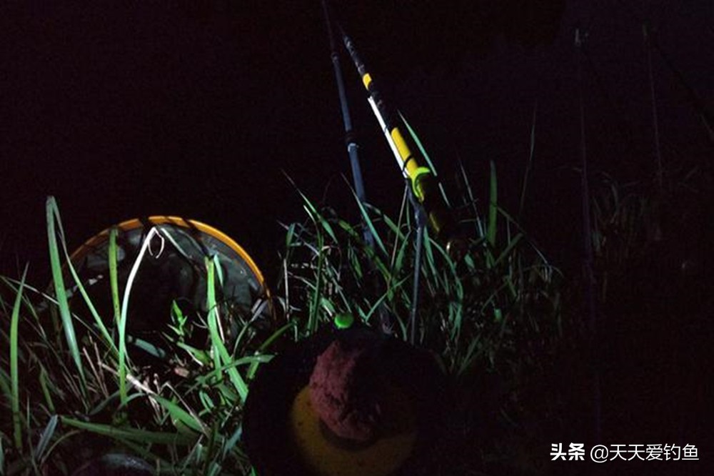 夜钓鲤鱼能用灯光吗,野钓夜光灯钓鲤鱼可以吗