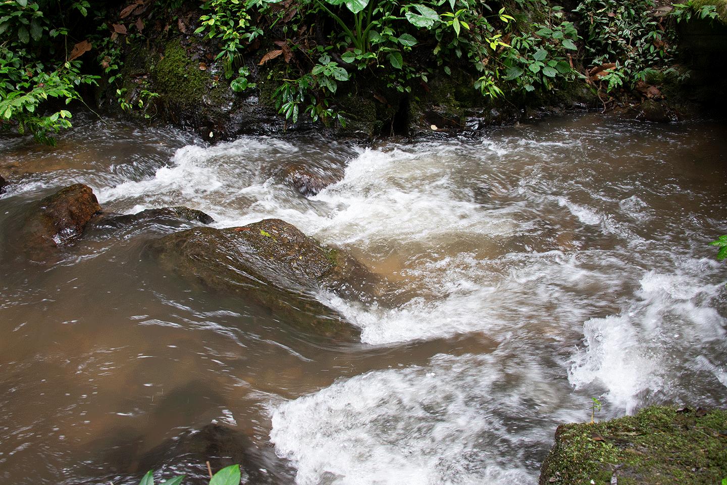 溪水潺潺心旷神怡,美景溪水潺潺