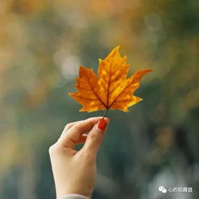 渡人如渡己渡己也是渡人,渡人渡己还是渡己渡人