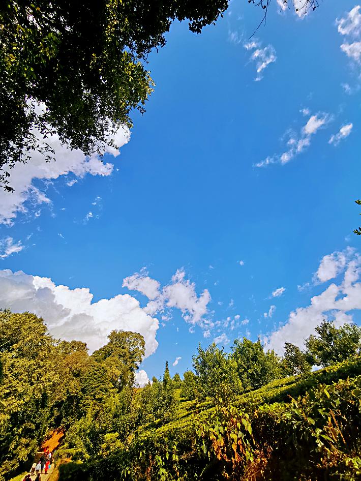 了解西双版纳的风俗和民族文化,西双版纳哈尼族特色民族文化