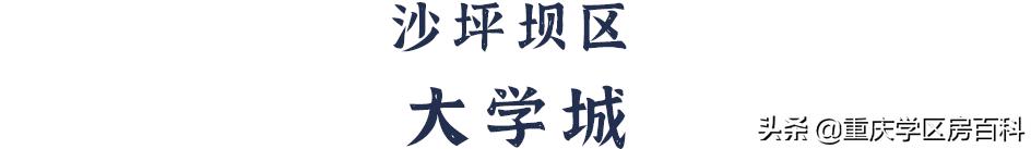 沙小、树人、七中!来看沙坪坝如何布局教育资源