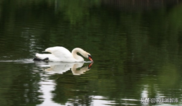家电导购的辛苦,家电导购员有意义么