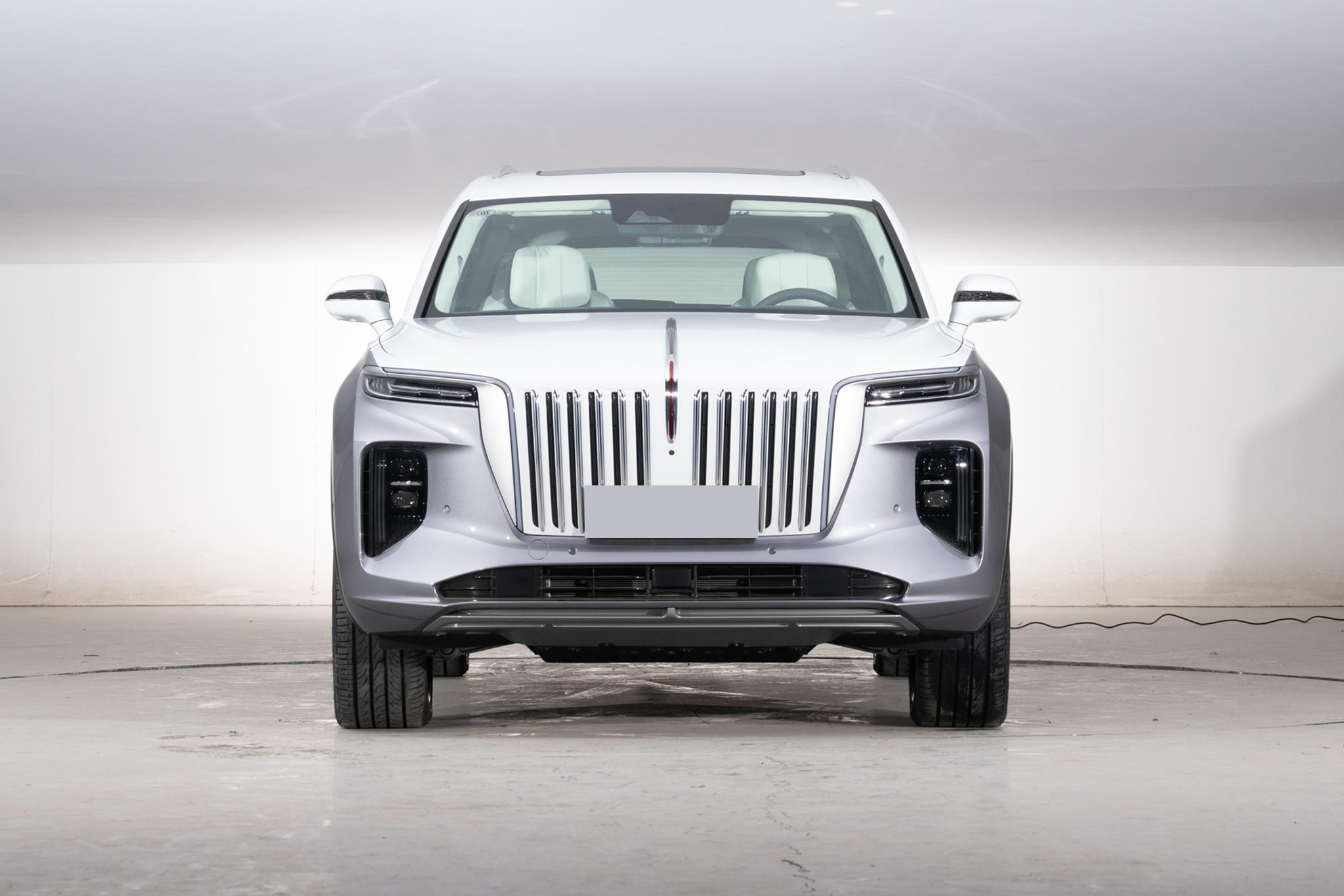 红旗电动车e-hs9用哪家电池,红旗ehs9到底值不值得买