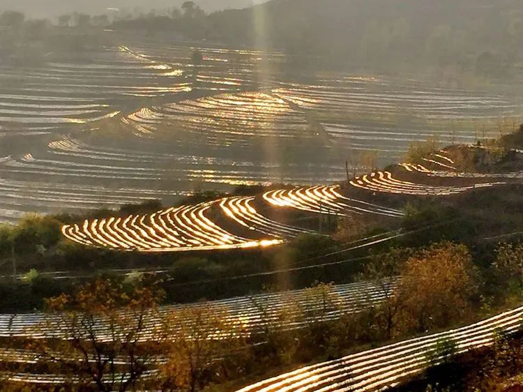 被称为上帝的指纹的图形,上帝的指纹景区