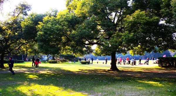 这一份公交交通指南，带你玩转上海各大景点