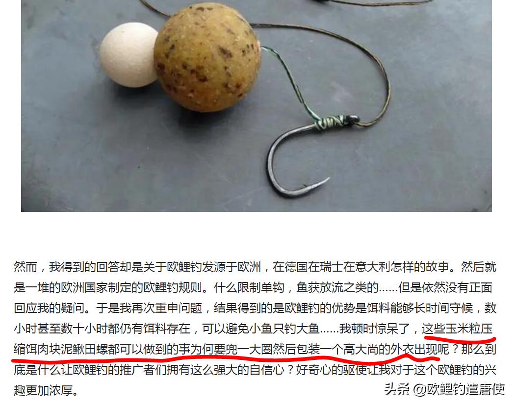 欧鲤钓必须用弯背钩吗,欧鲤钓真的那么厉害吗